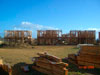 Maui Lani Update