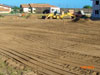 Maui Lani Update