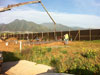 Maui Lani Update