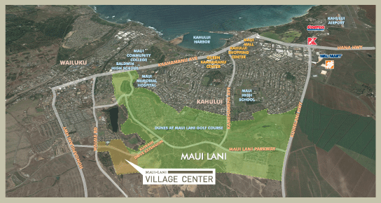 aerial map of Village Center property